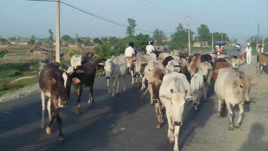 फाइल फोटो 