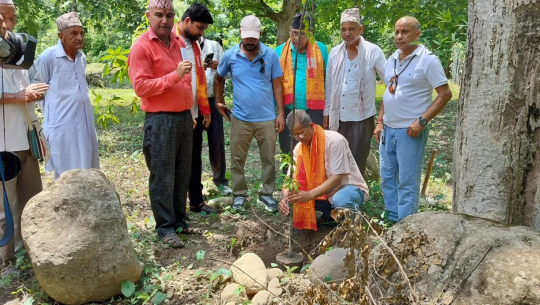 गोदावरी नगरपालिकाले गर्‍यो हनुमान मन्दिर परिसरमा वृक्षारोपण 