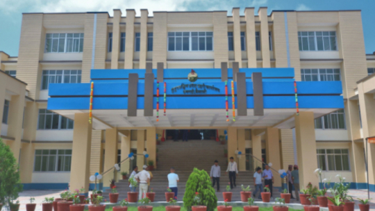 Three arrested with pistols and lion’s ,ane in Kailali