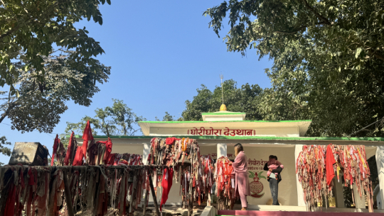 Tharu community celebrates lawangi Puja with cultural festivities in Kailali