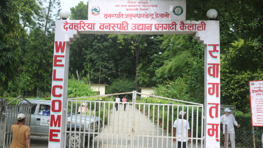 धनगढीको देवहरिया वनस्पति उद्यानलाई अनुसन्धान केन्द्रको रुपमा विकास गरिँदै 