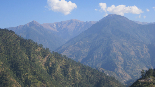 बाजुरामा लकडाउनमा बढ्यो वन्यजन्तुको तस्करी