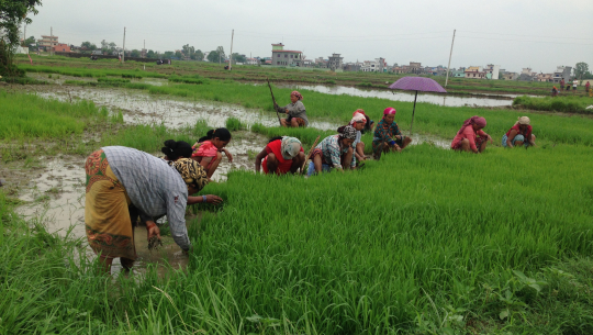 फाइल फोटो