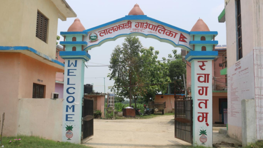 कञ्चनपुरमा किसानलाई ५० प्रतिशत अनुदानमा धानको उन्नत बीउ