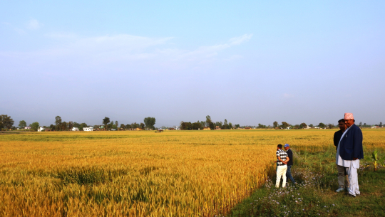 कृष्णपुर नगरपालिकाका नगर प्रमुख हेमराज ओझा