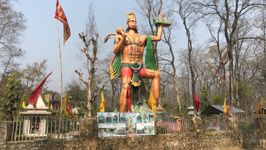 तेघरी सामुदायिक वन