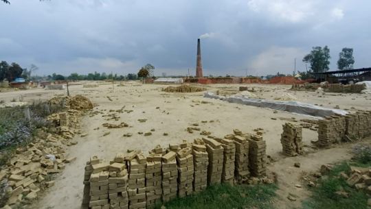 वर्षाले काँचो इँटामा ठुलो नोक्सान गरेपछि कैलालीका इँटा व्यवसायी चिन्तित 