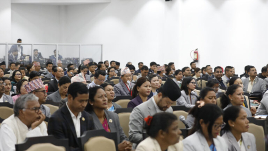 प्रतिनिधिसभाः समयमै रासायनिक मल उपलब्ध गराउन माग