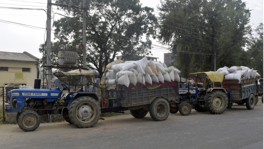 धान बिक्री गर्न पालो कुर्दै ट्रयाक्टर