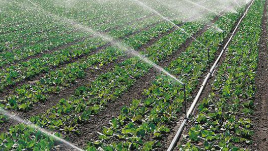 प्रदेश ५ का सहकारीले कृषि क्षेत्रमा ३० प्रतिशत लगानी गर्नुपर्ने