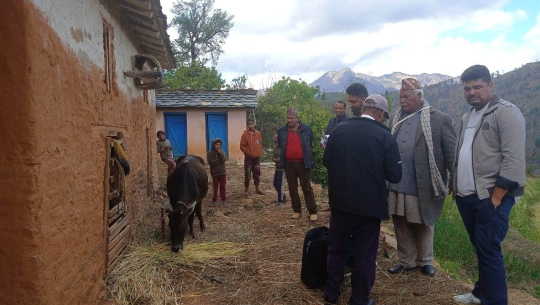 पशुहरुमा लम्पी स्कीनको प्रकोप, पशु चिकित्सकसहित पाटनका मेयर गाउँमा 