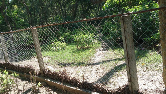 जनावरबाट जोगिन शुक्लाफाँटामा ‘मेसवायर’