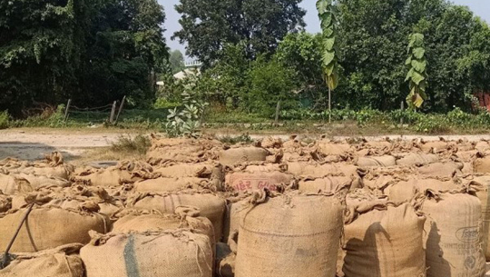 फाईल फोटो 