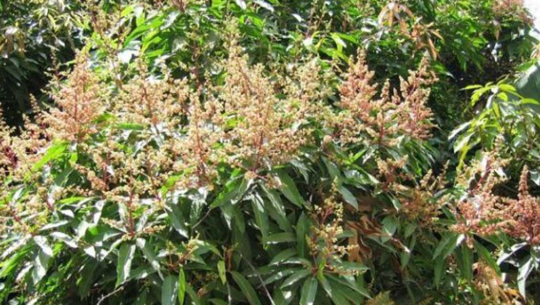 फाईल फोटो 