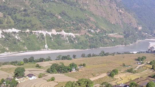 महाकाली करिडोरभित्र १,९५५ रुख काट्न अनुमतिः बन्द भएको काम पुनः सुचारु