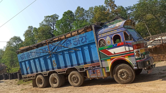 डोटीदेखि आइरहेका सालको काठसहित ६ ओटा ट्रक कैलालीबाट नियन्त्रणमा