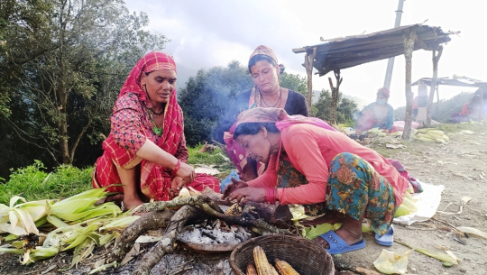 सुदूरपहाडका राजमार्गमा पोलेको मकै बेचेर गुजारा गर्नेहरु