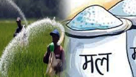 Farmers in Kanchanpur face hardship as cooperatives fail to distribute fertilizers on time