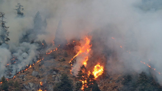 जंगलमा लागेको आगोबाट बैतडीको दुई घरमा आगलागी 