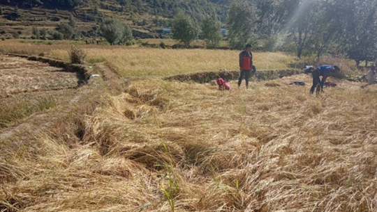 फाइल फोटो