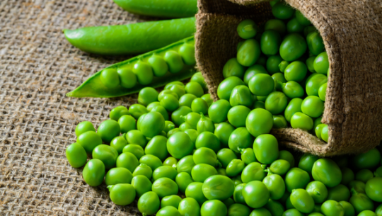 फाईल फोटो 