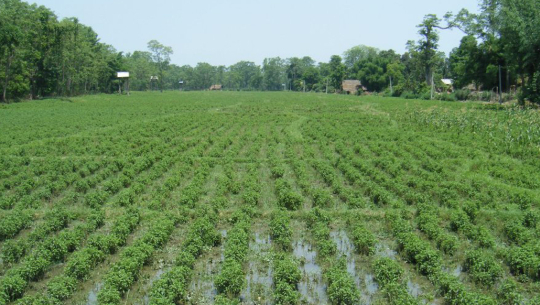 फाइल फोटो