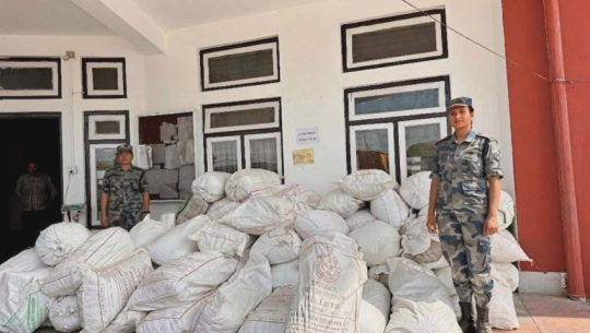 40 quintals of smuggled mustard seized from Belauri border area