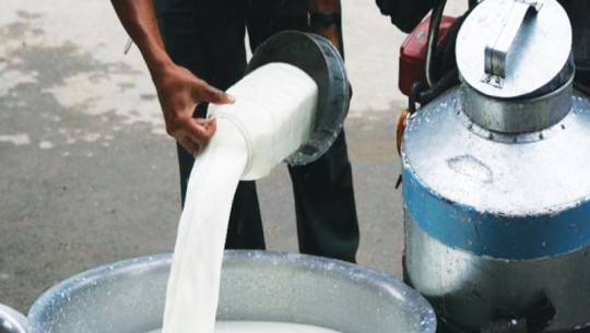 दूधको मूल्य प्रतिलिटर १० रुपैयाँ बढाउन किसानहरुको माग