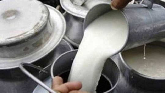 सुदूरपश्चिम दूध उत्पादनमा आत्मनिर्भर बन्दै