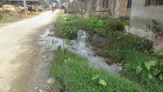 धनगढीको वडा नम्बर ८ मा नाली निर्माण नहुँदा समस्या