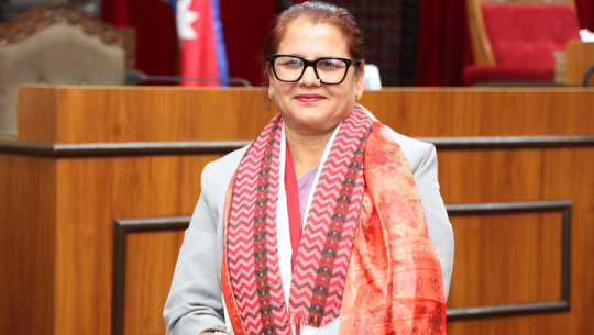 राष्ट्रियसभाकी उपाध्यक्ष भण्डारी पार्टीको जिम्मेवारीबाट अलग 