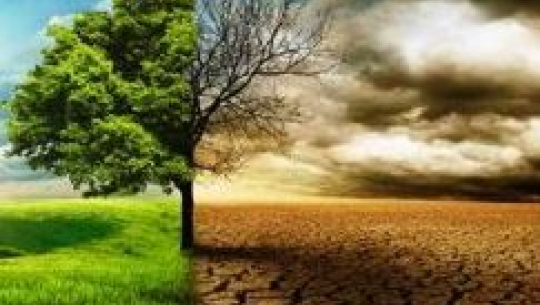 जलवायु परिवर्तनले धानमा पारेको प्रभाव