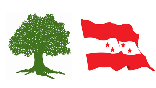 बझाङमा प्रतिनिधिसभा सदस्यमा १९ जनाको नाम सिफारिस