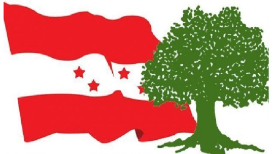 बाजुराको खप्तड छेडेदह-३ मा काँग्रेसको प्यानल नै विजयी 