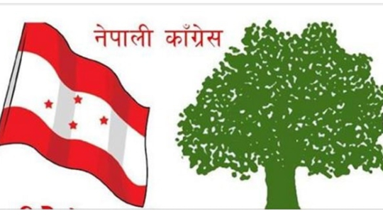 बैतडीमा कांग्रेस कार्यकर्तामाथि सभामा आक्रमण गर्नेमाथि कारवाही गर्न माग