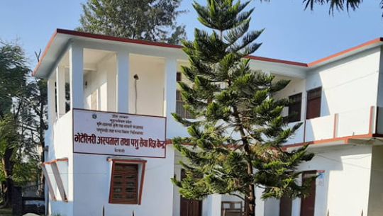 धनगढीको पशु सेवा विज्ञ केन्द्रमा निकटकालाई धमाधम जागिर !