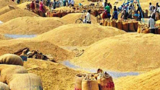 ५० प्रतिशत अनुदानमा चैते धानको बीउ उपलब्ध गराउने