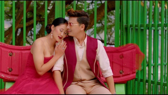 वर्ष दिनपछि म्युजिक भिडियोमा देखिए पल शाह