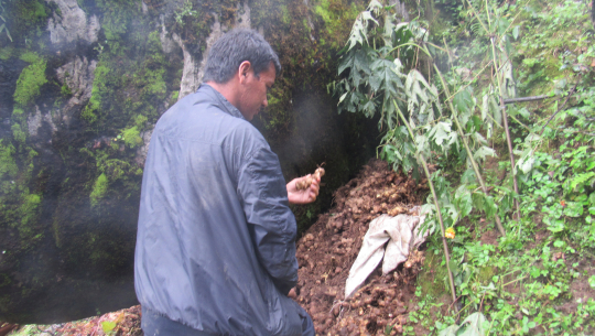 गैरकानुनी रुपमा जडीबुटी संकलन रोकिएन