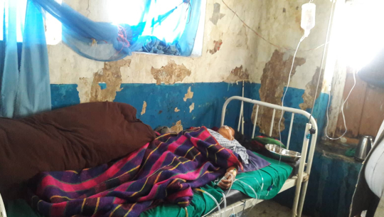 बाजुरामा जंगली बदेलको आक्रमणबाट ७ जना घाइते