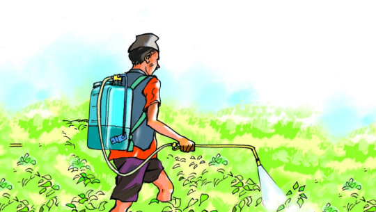 कृषकले जैविक प्रविधि सिकेपछि विषादी प्रयोगमा कमी