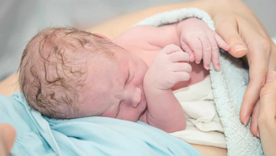 फाईल फोटो 