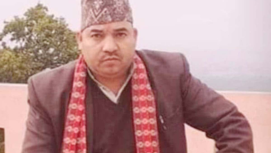 बैतडीको पाटन–६ मा काँग्रेसको प्यानल नै विजयी 