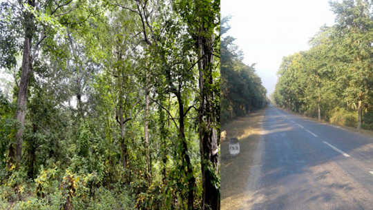 सुदूरपश्चिम प्रदेश: गोदावरीमा राजधानी बनाउँदा ५० बिघा क्षेत्रमा वन फँडानी हुने प्रारम्भिक आकलन