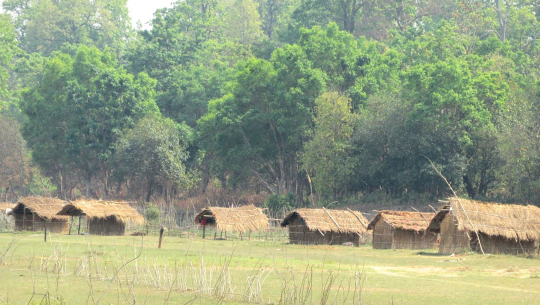 शुक्लाफाँटा नगरपालिका–३ स्याली नदी तटीय क्षेत्रमा बगर खेतीको हेरचाह गर्न किसानले बनाएका झोपडी