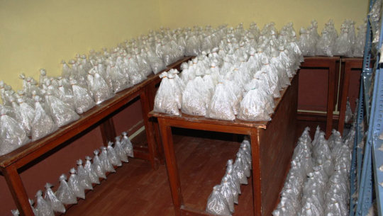 कञ्चनपुरमा कन्ने जातको च्याउको बीउ उत्पादनमा वृद्धि