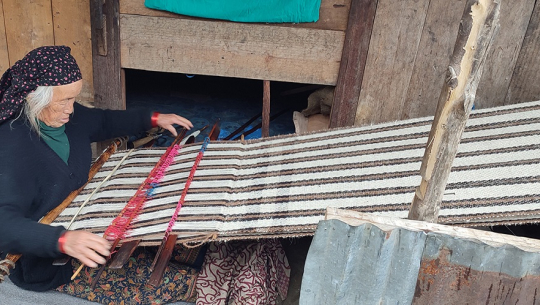 राडीपाखी बुन्ने पेसा सङ्कटमा
