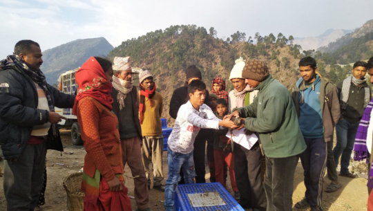 बाजुराका विपन्न परिवारलाई उन्नत जातका कुखुरा वितरण