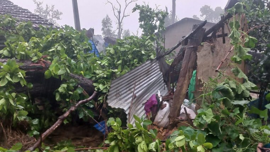 Tree falls on house in Kailari, Kailali amidst incessant rain