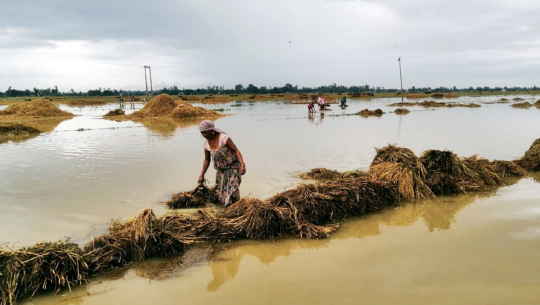 फोटो: रासस